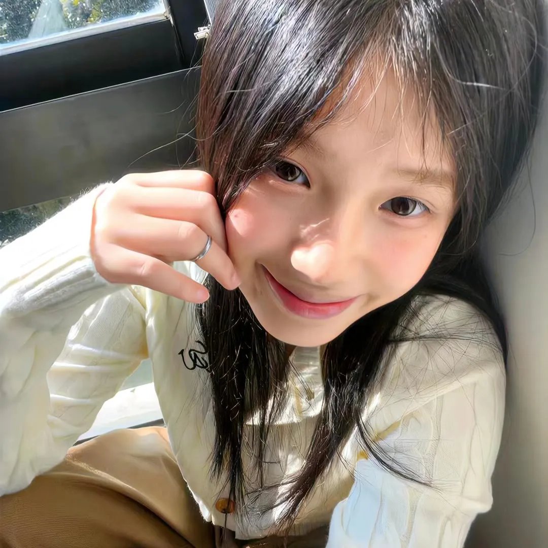 鲨与鲸